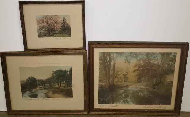 3 WALLACE NUTTING HAND TINTED PHOTOGRAPHS (1 of 4)