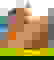 item-910845=3