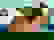 item-910845=4