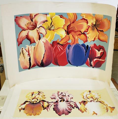 LOWELL NESBITT ORIGINAL LITHOGRAPHS: Lowell Nesbitt (1933-1994 American), 2 unframed lithographs depicting flowers, approximately 34" x 50" and 22" x 42", both signed in pencil.
