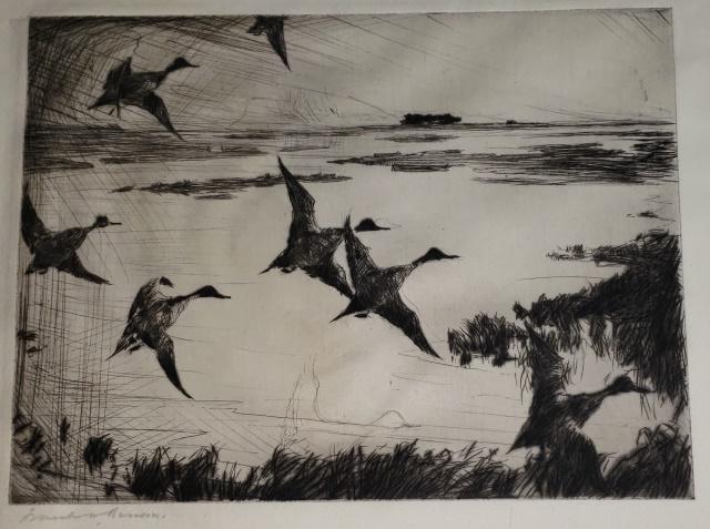 FRANK WESTON BENSON: (1862-1951 American), ducks coming in for landing, unframed etching on paper, signed lower left, approximate plate size 6" x 8", paper 10 1/4" x 14 1/4".