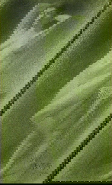 TOMANEK, JOSEPH| (1889-1974 American) Nude model,: TOMANEK, JOSEPH| (1889-1974 American) Nude model, framed charcoal and pencil, mounted to board, image 40'' x 23'', frame 43'' x 26'', signed lower right, done as a student project while Tomanek was un