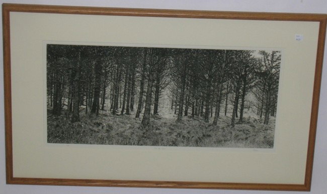 ***PIHOS, BARBARA: (20th Century American) ''In the Glen'', framed etching on paper, signed in pencil lower right, #7/80 in pencil lower left margin, approximate image size 11 3/4'' x 25 1/2'', frame size 21'' x 35''.