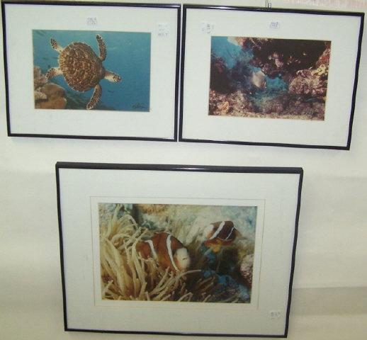 3 WORKS: By Ray I. Doan, including clown fish, approximate image size by sight 9 1/2" x 13", sea turtle and seascape bottom, image size of each 6 1/2" x 9 1/2", all signed with artist stamp on verso and number