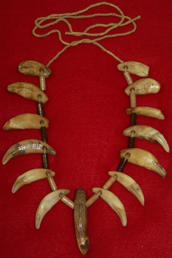 3322E ***NATIVE AMERICAN BEAR TOOTH NECKLACE