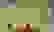 item-17621031=4