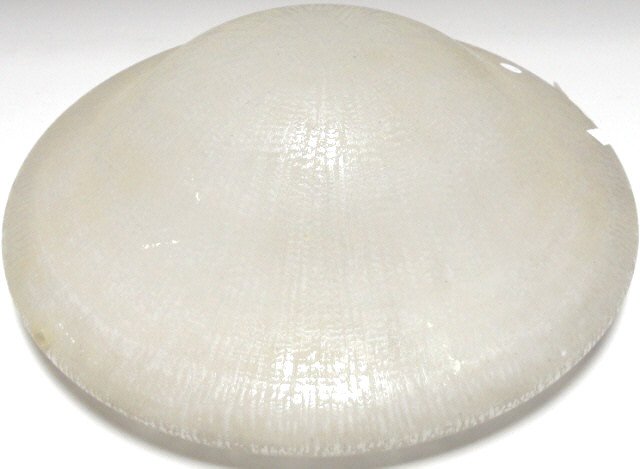DAUM NANCY ART GLASS SHADE: Circa 1930, approximate diameter 18".
