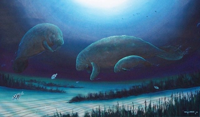 *WYLAND, ROBERT: "Florida's Endangered Manatees", framed oil on canvas, signed lower left?, also signed, titled and dated 1999 verso, approximate sight 29 3/8" x 49 3/8", frame 41 3/4" x 61 3/4".