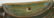 *PAIR OF ROSEVILLE ART POTTERY WALL POCKETS - 7