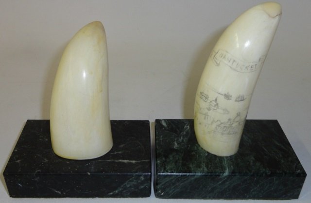 *2 WHALE TEETH: 1 with scrimshaw decoration depicting figures at seaside, approximate length 3" and 3 3/4".