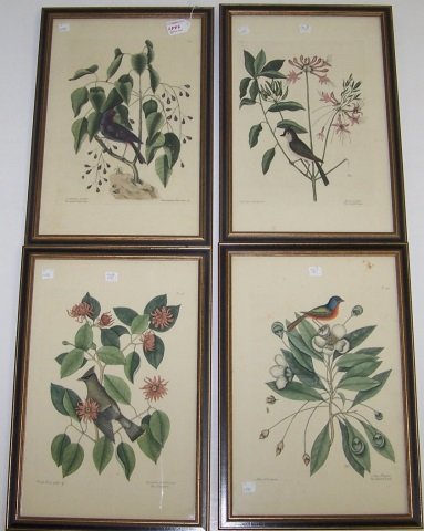 *CATESBY, MARK (1 of 10)