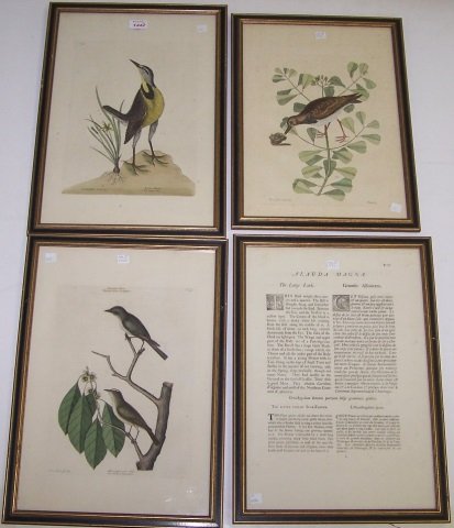 *4 FRAMED PIECES (1 of 8)