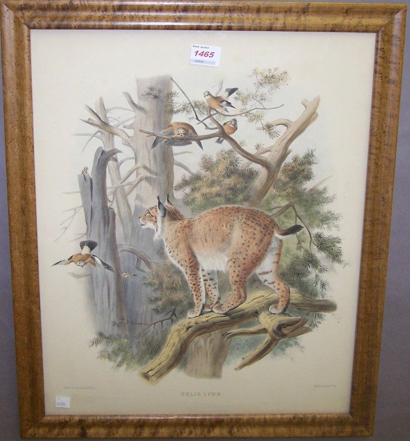 *J. WOLF & J. SMIT (1 of 4)