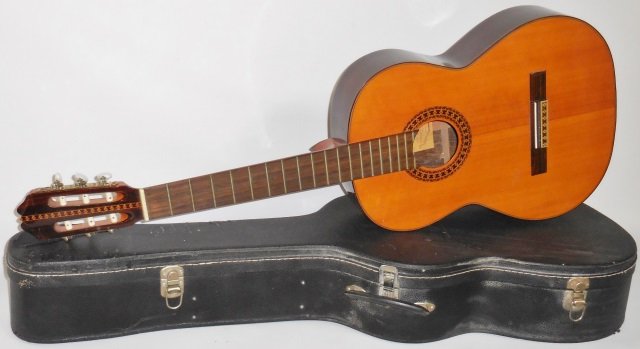 Lyle Acoustic Guitar Serial Numbers