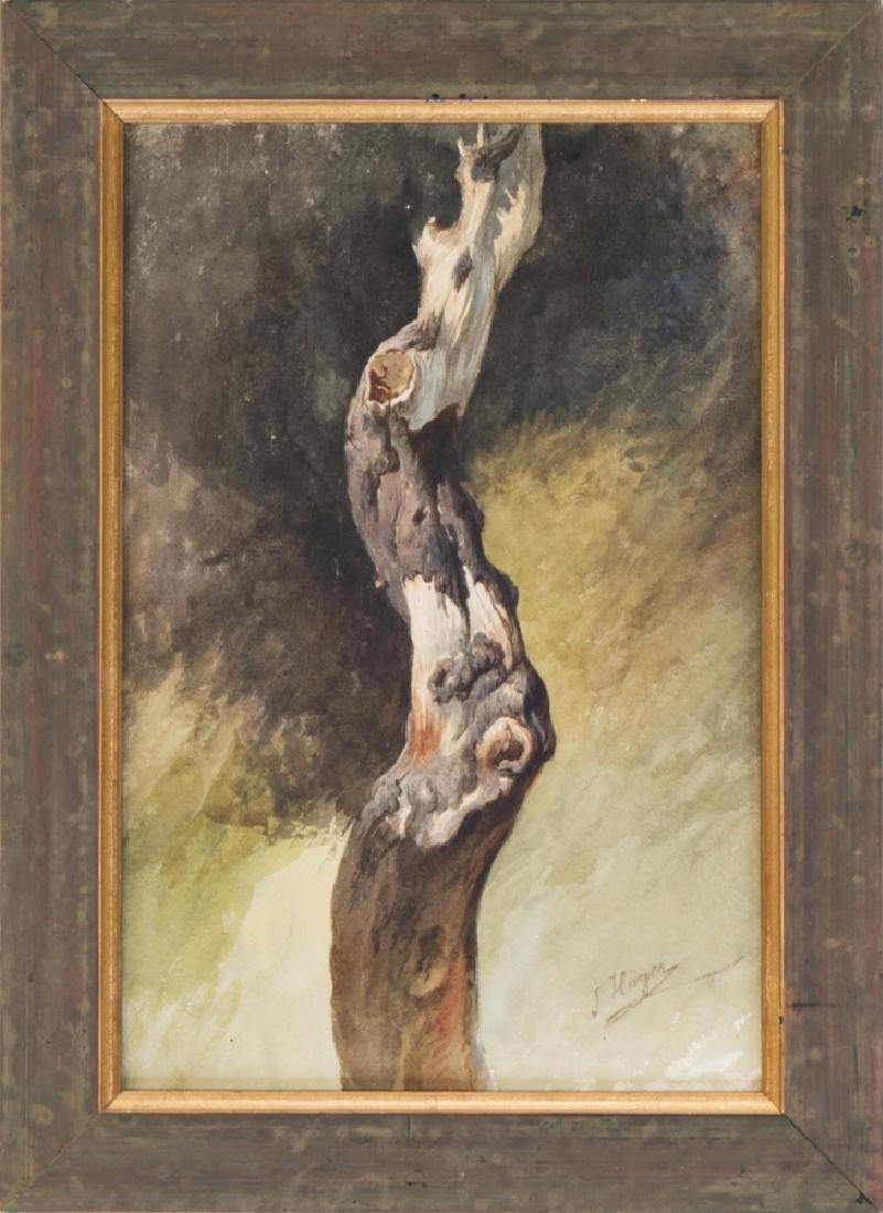 JOSEPH HÖGER (1801 WIEN - 1877 WIEN) Baumstamm Aquarell: JOSEPH HÖGER (1801 WIEN - 1877 WIEN) Baumstamm Aquarell auf Papier, 31,5 x 21 cm gerahmt, Maß mit Rahmen: 39,5 x 28,5 cm Signatur vorne rechts unten: J. Höger