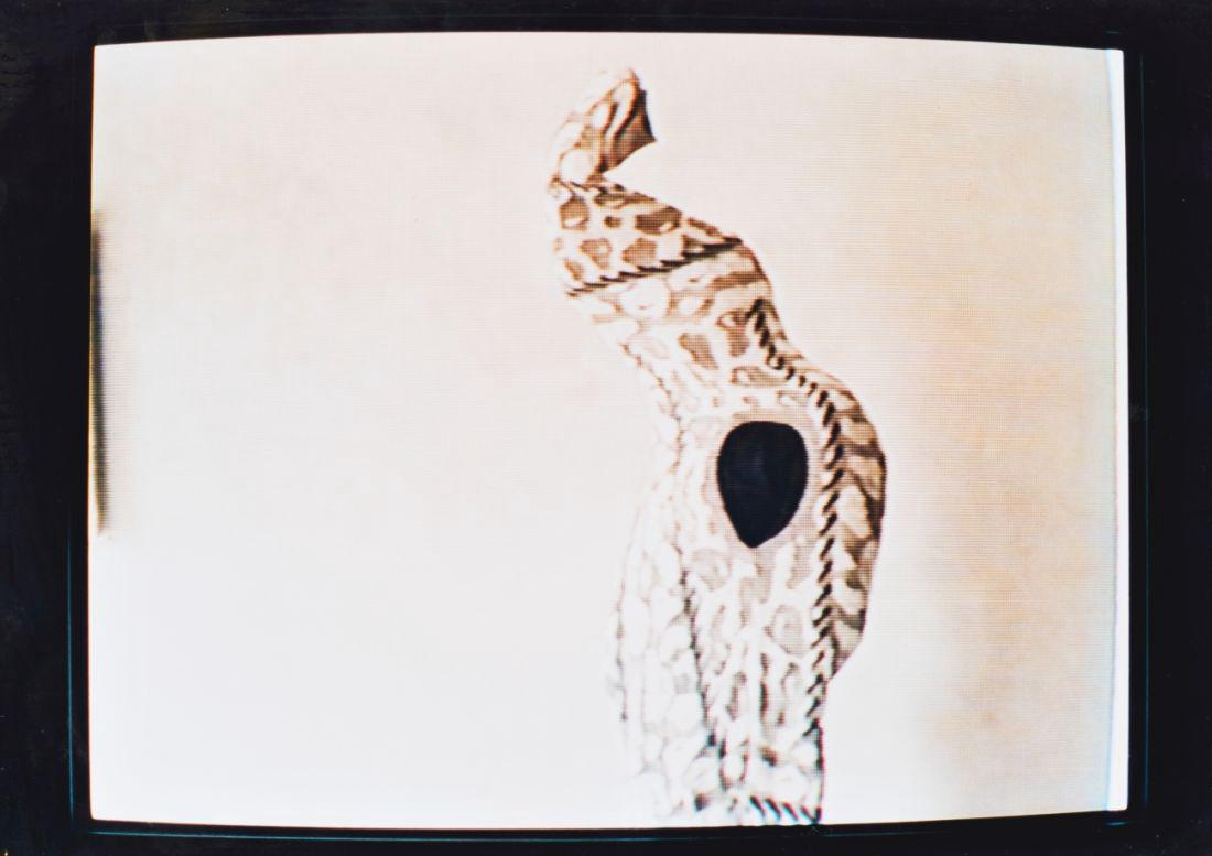 ERWIN WURM (1954 BRUCK AN DER MUR): ERWIN WURM (1954 BRUCK AN DER MUR) o. T. Aus der Serie 59 Positionen Fotografie, 46 x 60 cm, gerahmt, Maß mit Rahmen: 51 x 71 cm Signatur Rückseite rechts unten: Erwin Wurm Bezeichnung Rückseite: A