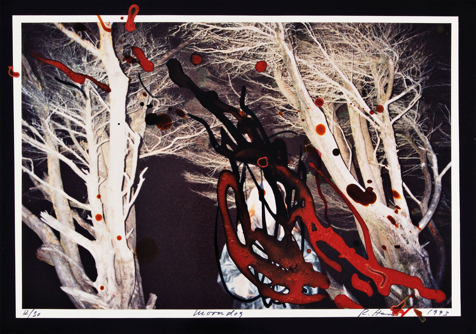 REBECCA HORN: REBECCA HORN (1944 MICHELSTADT, D) MOON DOG, 1993 Fotografie, 34 x 48,3 cm Signatur vorne rechts unten: R. Horn 1993 Bezeichnung unten: 12/30, Titel Mappenwerk mit einer Fotografie und dem Buch La Lun