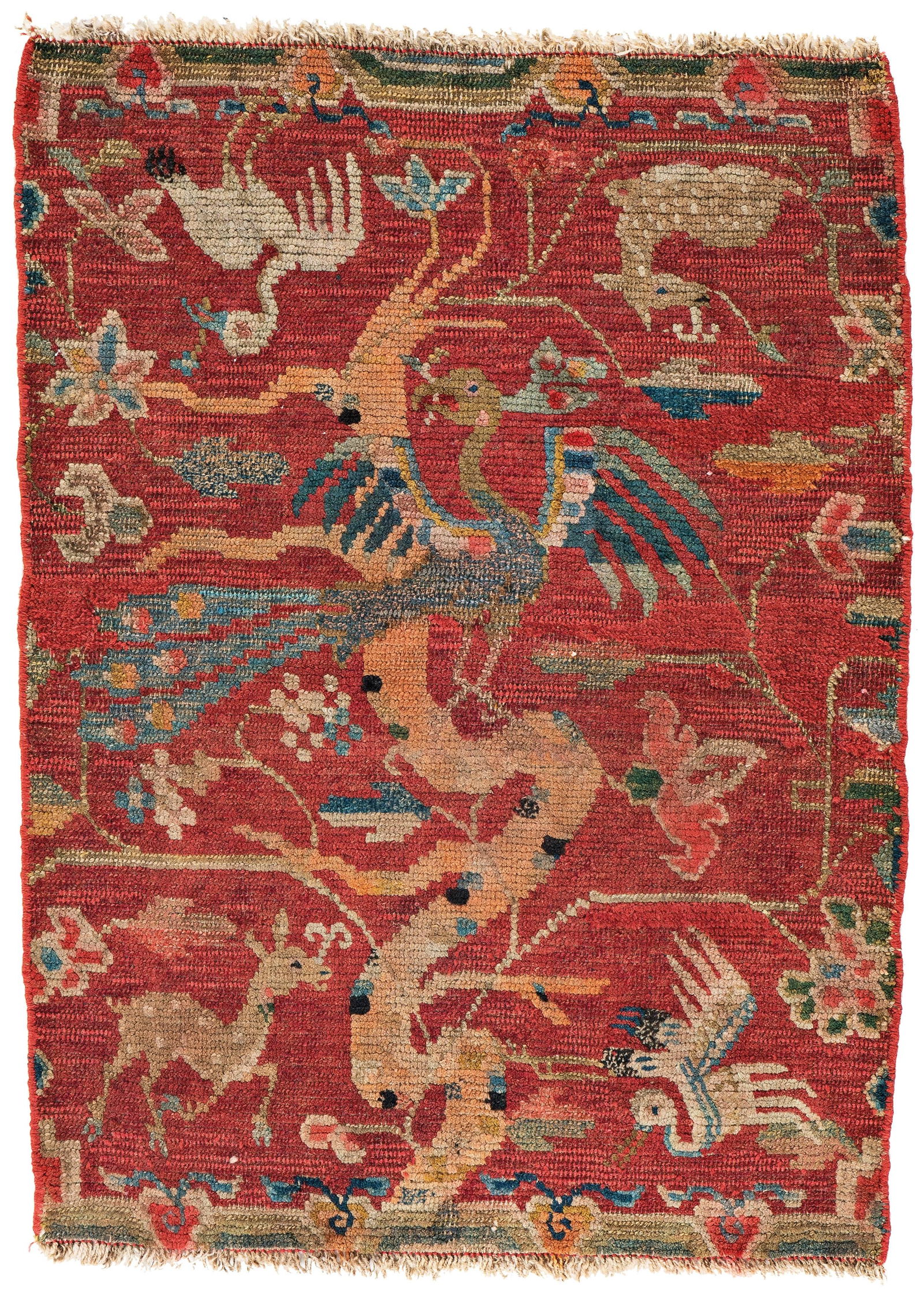 Tibet Jabuye Rug (1 of 2)