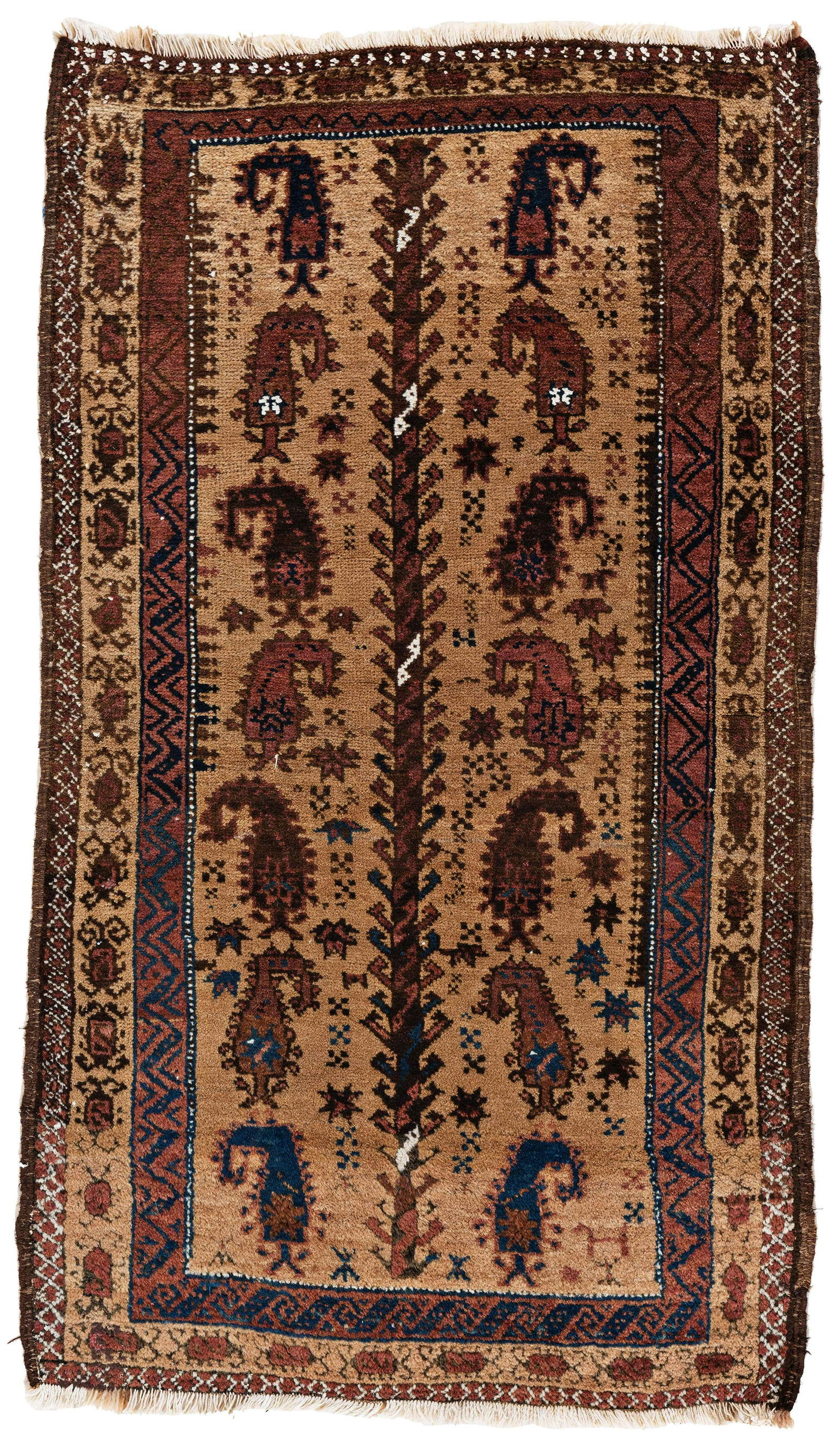 Baluch Rug (1 of 2)