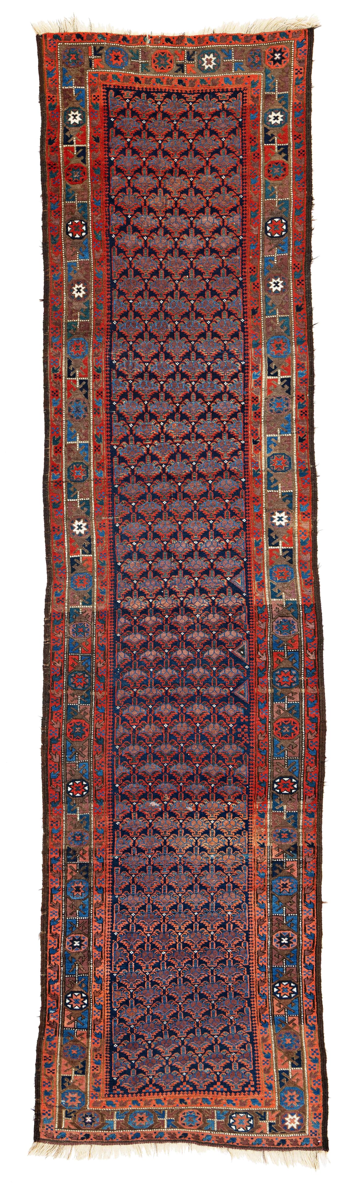Baluch Runner (1 of 5)