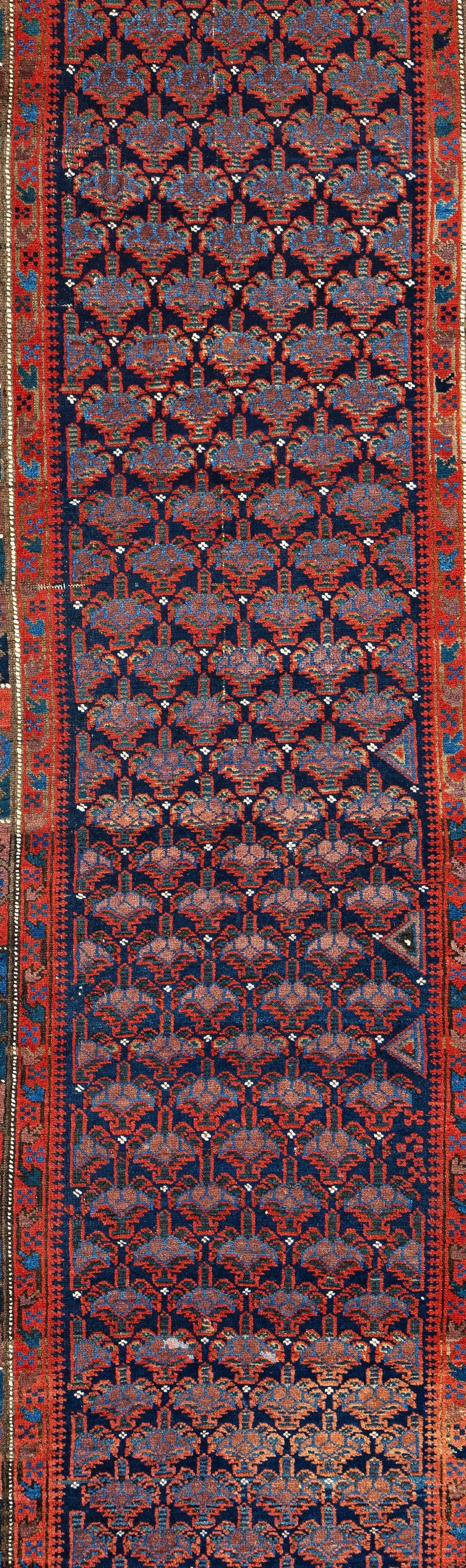 Baluch Runner - 4