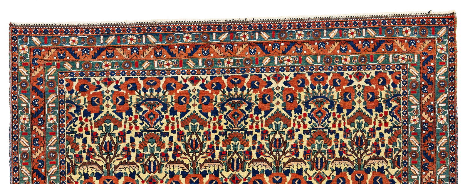 Afshar Rug - 5