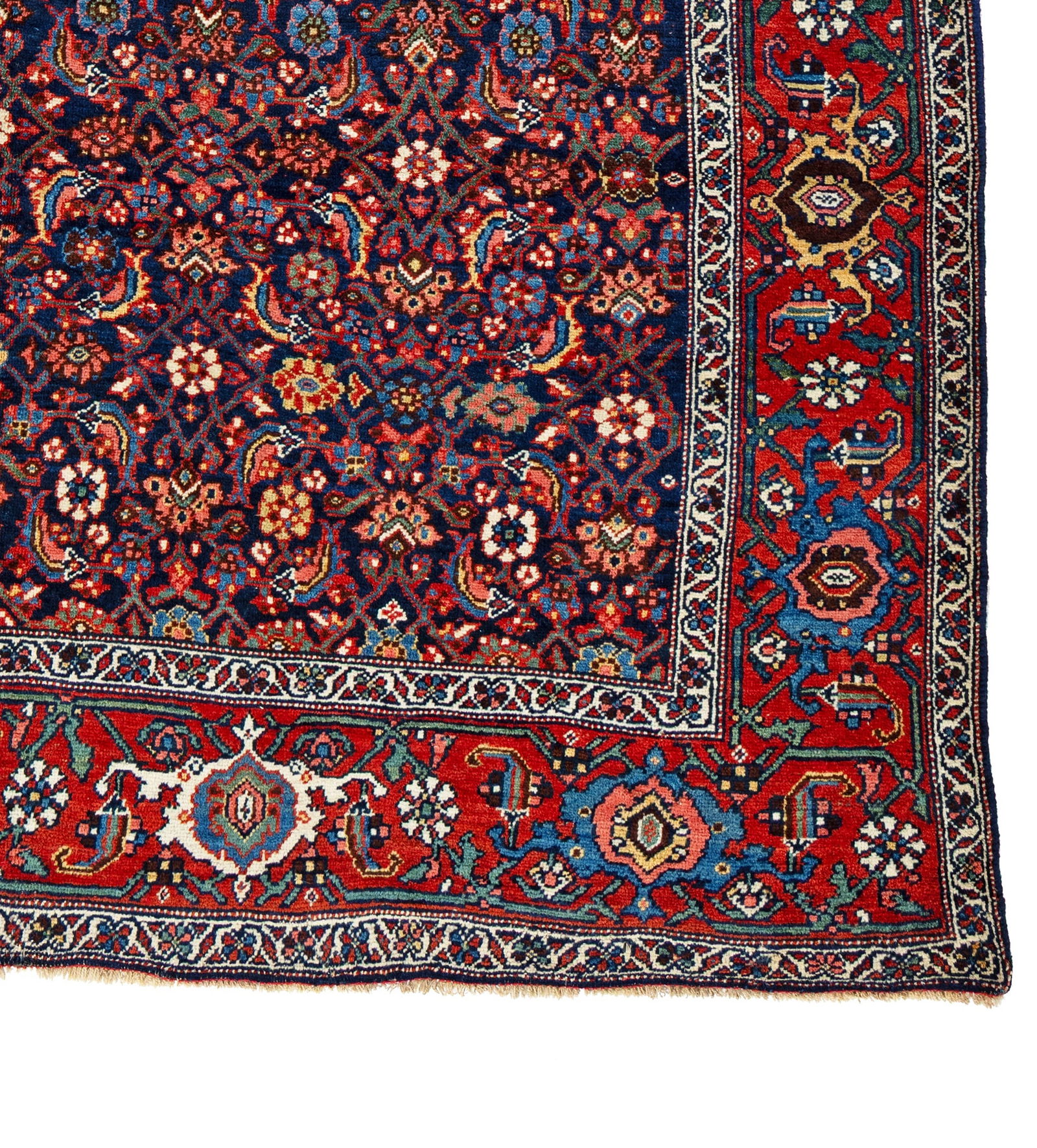 Bidjar Rug - 3