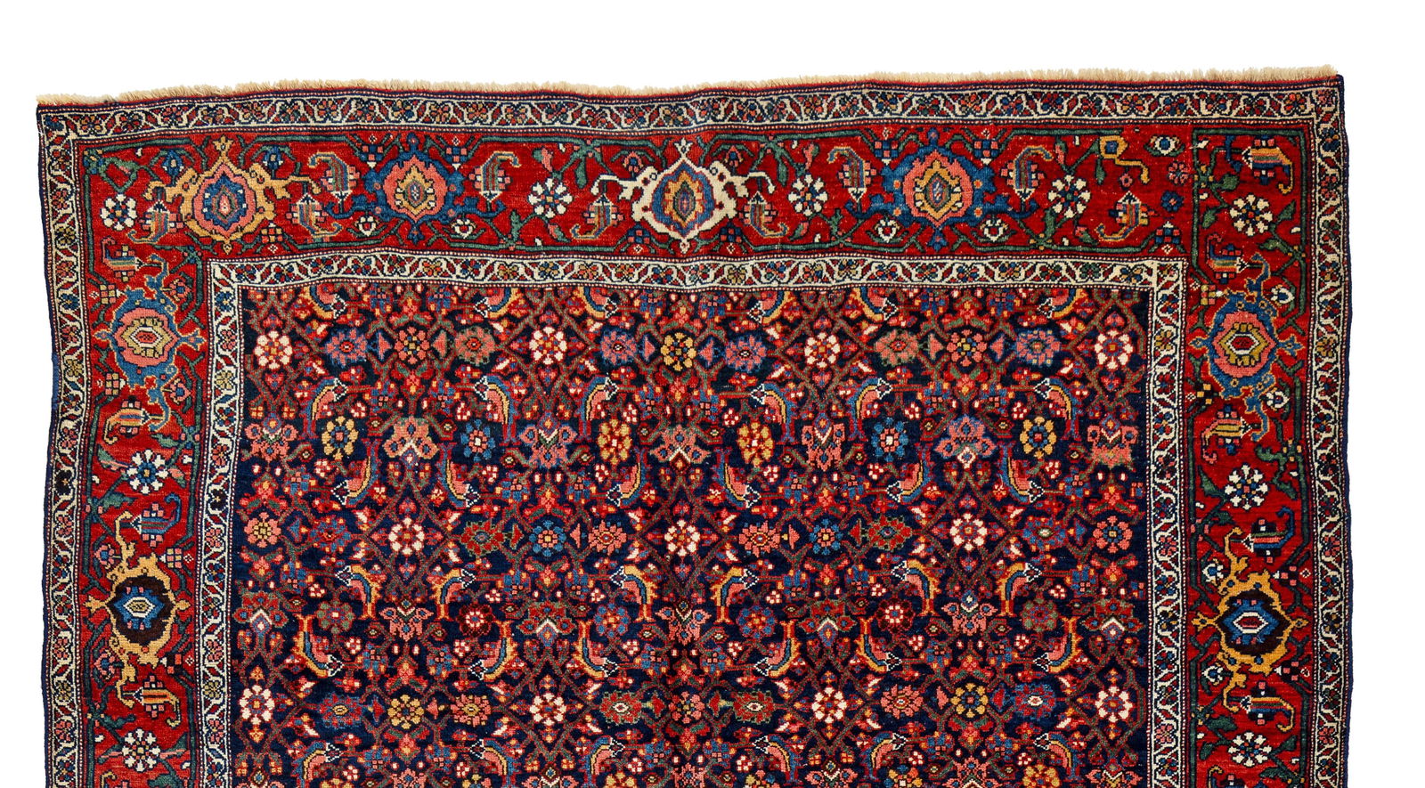 Bidjar Rug - 5