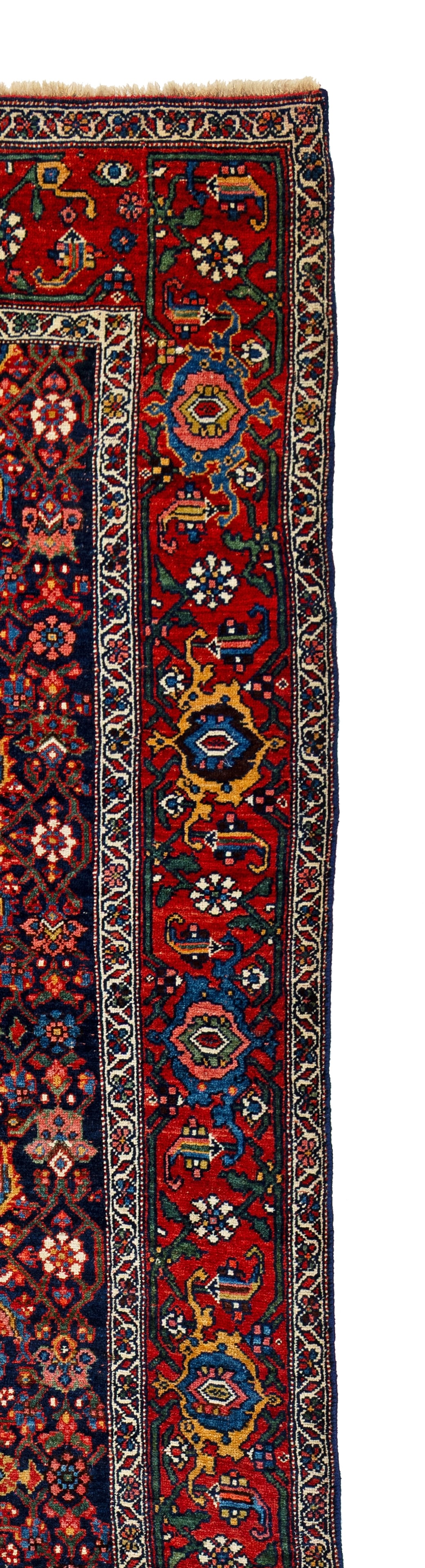 Bidjar Rug - 6