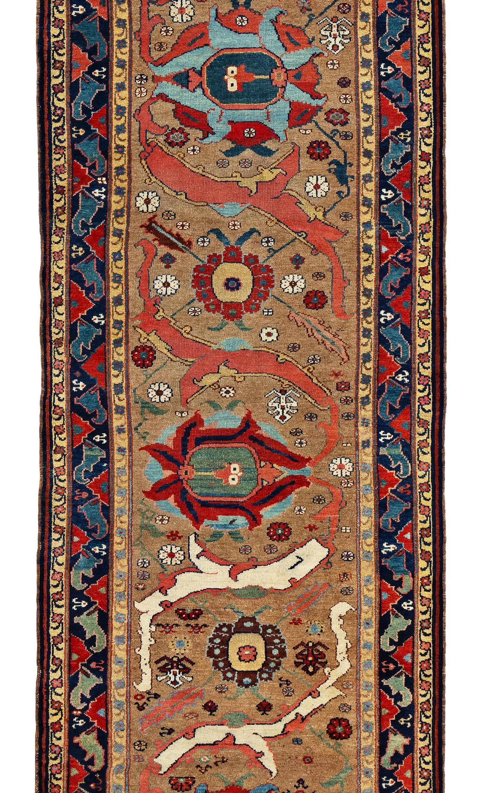 Northwest Persian Runner - 4