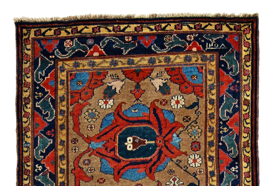 Northwest Persian Runner - 5