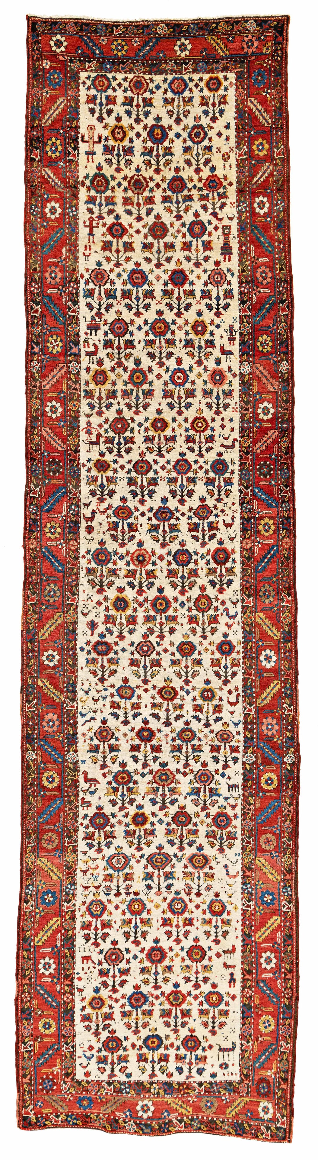 Bakhshaish Runner (1 of 6)