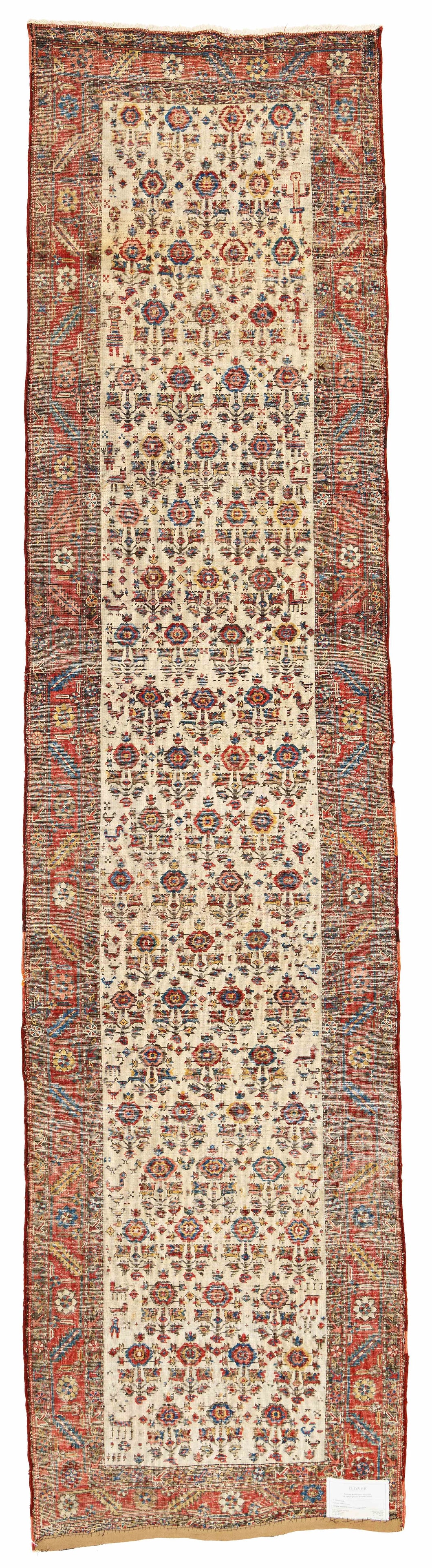 Bakhshaish Runner - 2