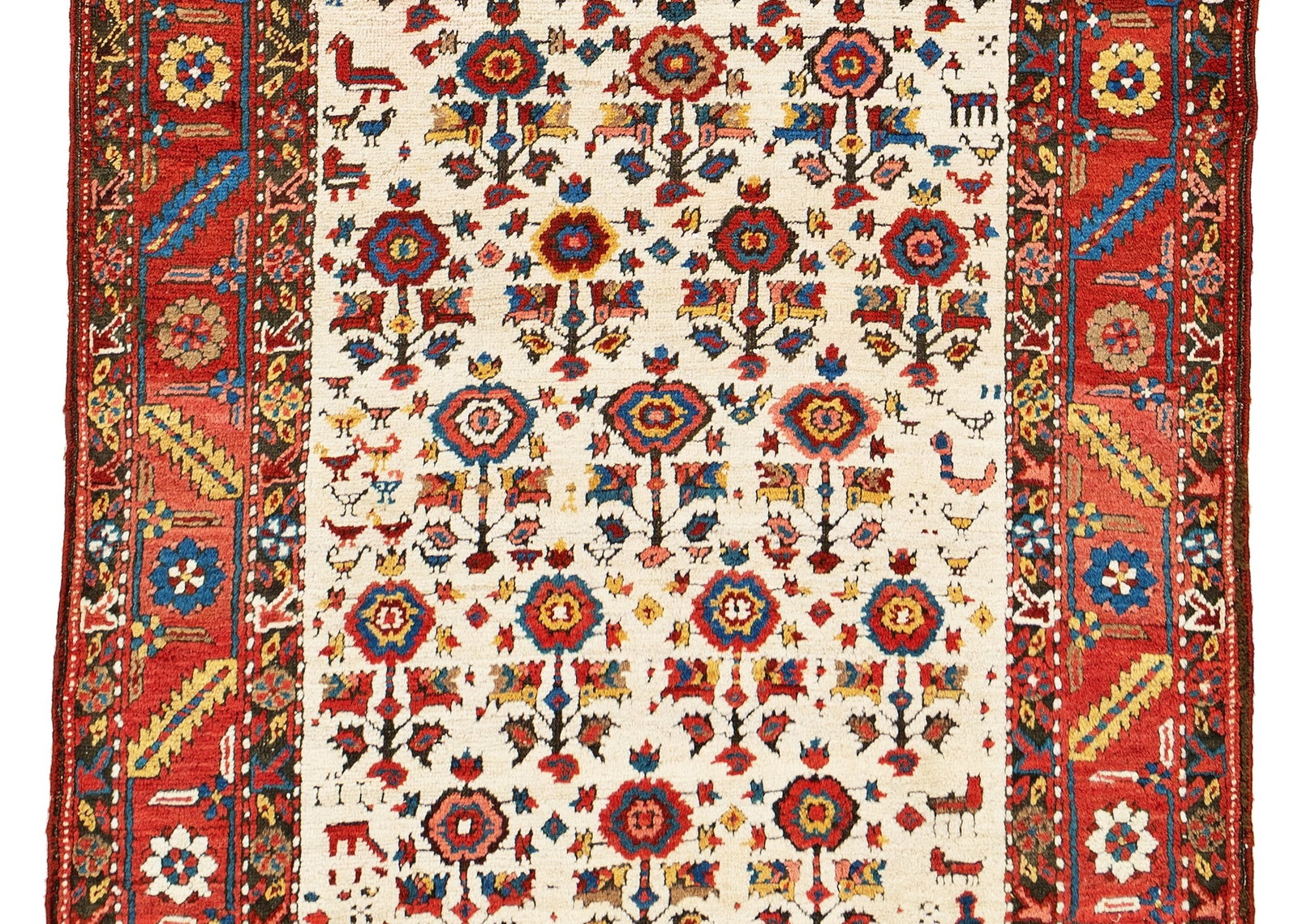 Bakhshaish Runner - 4