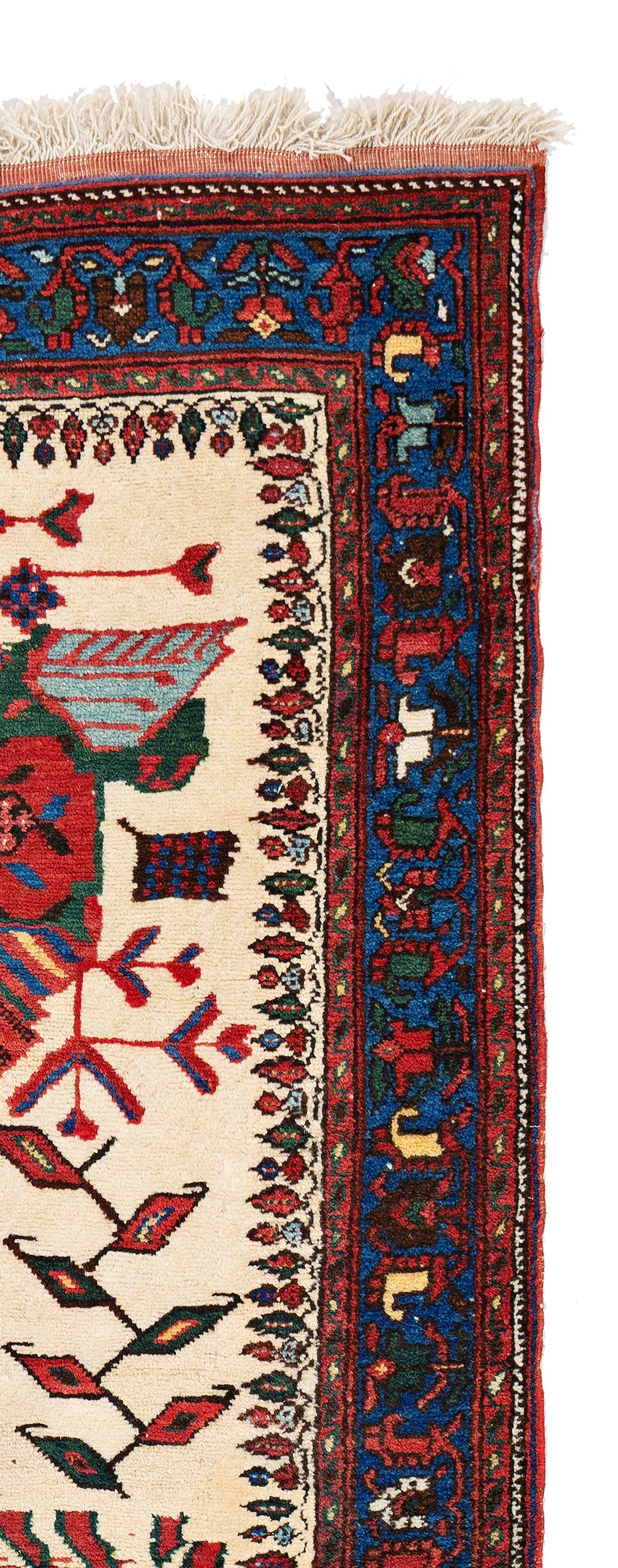 Afshar Rug - 6