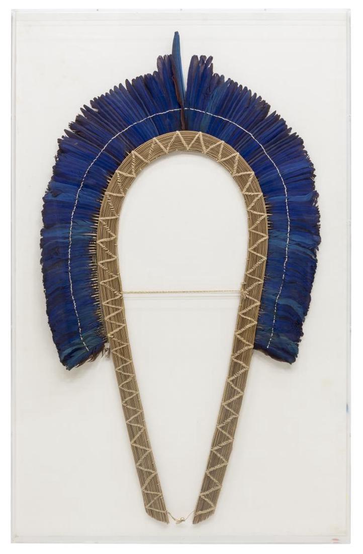 FRAMED AMAZONIA FEATHER HEADDRESS (1 of 3)