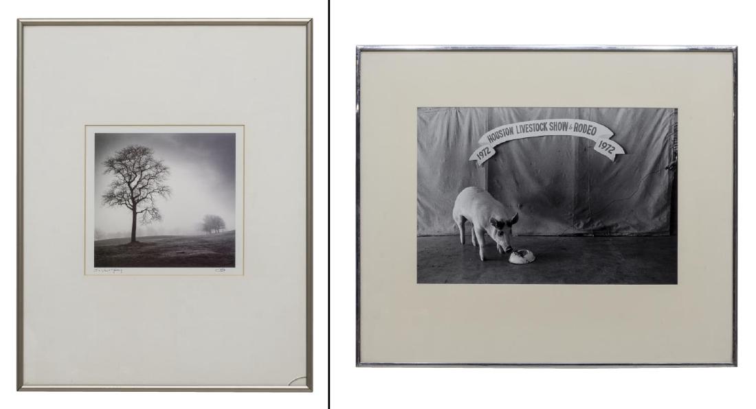 (2) GEOFF WINNINGHAM PHOTOGRAPH & TREE PRINT (1 of 5)