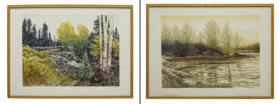 (2) FRAMED COLOR ETCHINGS, WOODED LANDSCAPES (1 of 8)