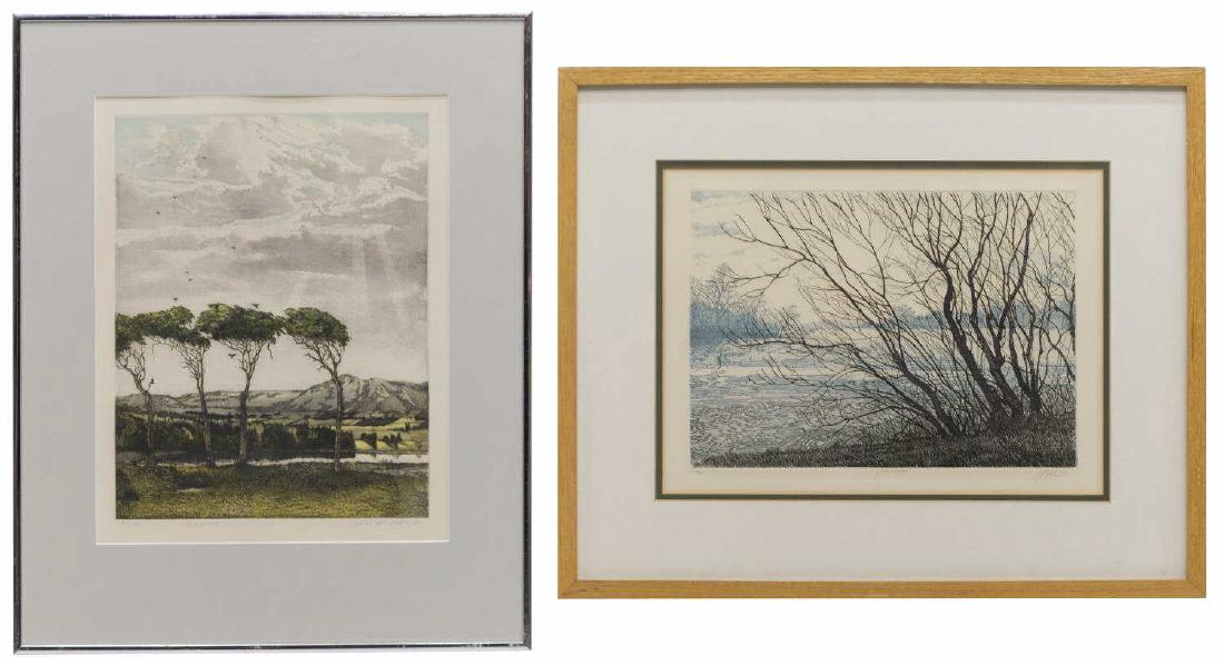(2) FRAMED COLOR ETCHINGS, DAVID BEATTIE (1 of 7)
