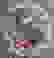 item-51865677=4
