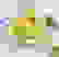 item-51865955=5