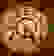 item-2514036=3