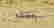 item-56097579=4