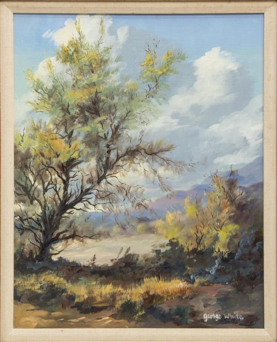 GEORGE WHITE PAINTING ON CANVAS, TREED LANDSCAPE: Framed painting on canvas, Treed Landcape Fronting Mountains, signed lower right George White, sight: 19 5/8"h, 15 3/8"w, overall: 29"h, 25"w, 8.5lbs **Provenance: The living estate of Coach George Ha