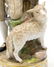 MEISSEN PORCELAIN FIGURE, YOUNG MAN WITH PIGEON - 3