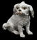 (2) MEISSEN PORCELAIN FIGURE BOLOGNESE DOG - 2