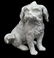 (2) MEISSEN PORCELAIN FIGURE BOLOGNESE DOG - 5