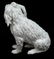 (2) MEISSEN PORCELAIN FIGURE BOLOGNESE DOG - 6