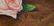 (2) VALENTINA WARGO (D.2009) OIL PAINTING ON BOARD - 4