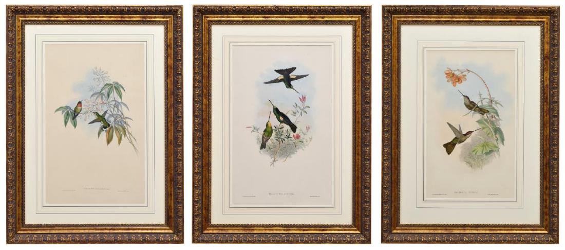 (3) GOULD HAND-COLORED LITHOGRAPHS HUMMINGBIRDS (1 of 8)